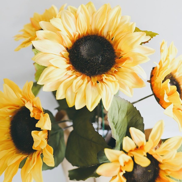 Meet your Posher, K - Picture 1 of 1